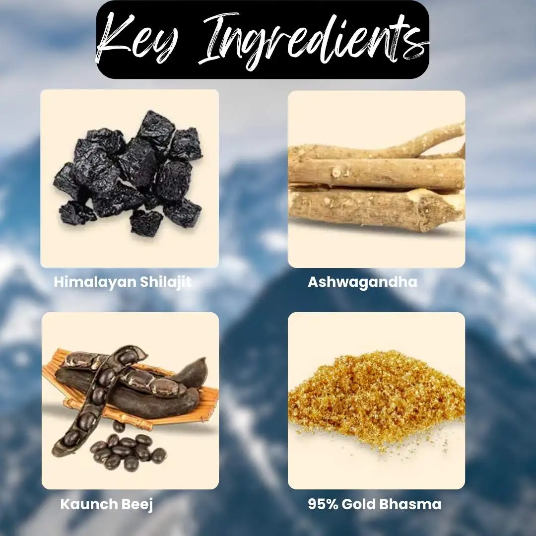 Shilajit Gold Capsules Ingredients